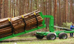 ������ ��� ��������� ��������� ������� �������� ���� POLISH FIRMS